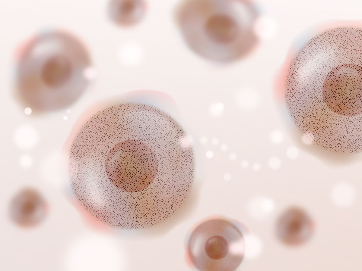 feat0<br />
<b>Warning</b>:  Undefined variable $i in <b>/home/xs171376/reunet.jp/public_html/trial18/wp/wp-content/themes/reutrial/parts/loop_features.php</b> on line <b>20</b><br />
<br />
<b>Warning</b>:  Undefined variable $count in <b>/home/xs171376/reunet.jp/public_html/trial18/wp/wp-content/themes/reutrial/parts/loop_features.php</b> on line <b>20</b><br />
2